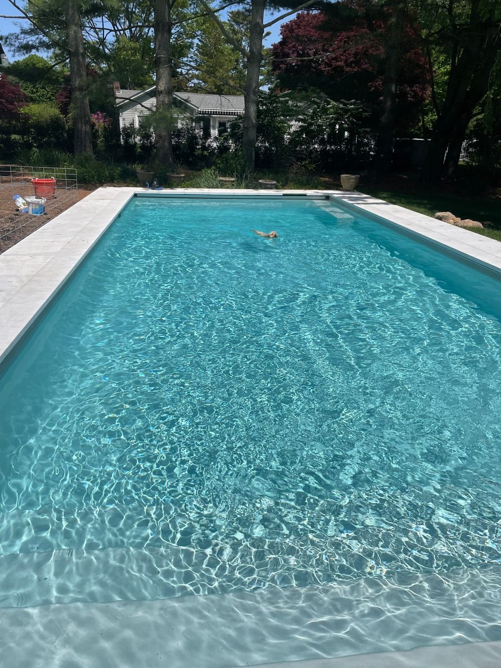 Pool with a white marble-dust finish